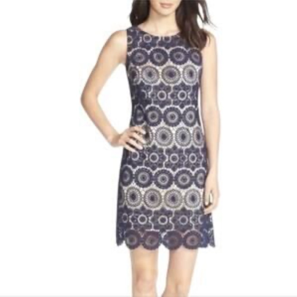 Eliza J Navy Blue Lace Dress Size 8 EUC